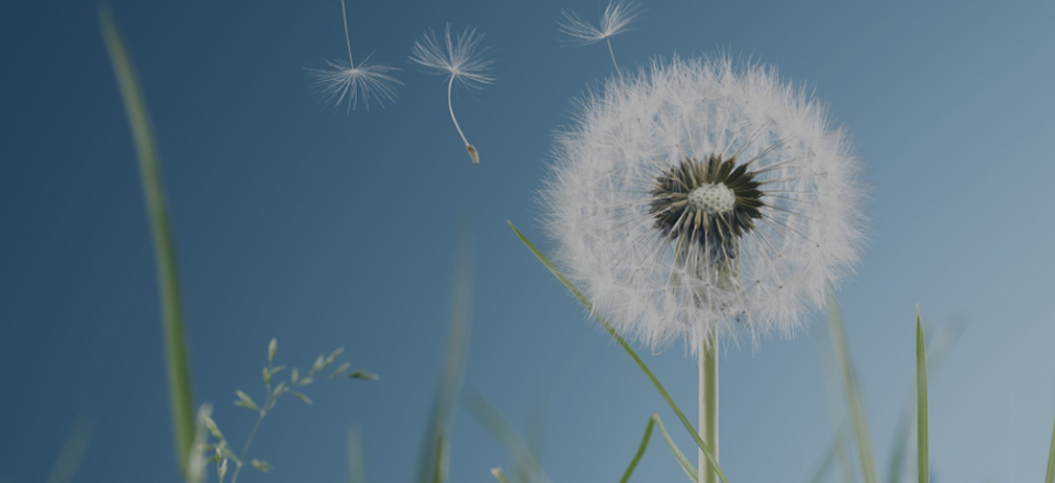 J9国际厅(中国)-官方网站